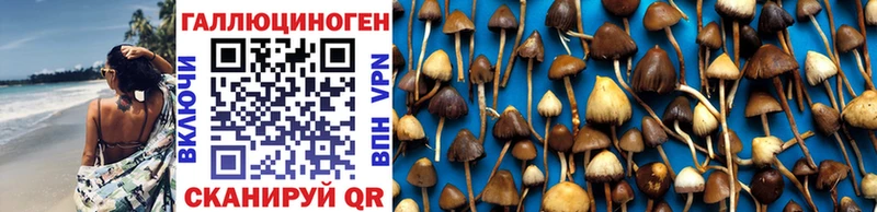 Псилоцибиновые грибы прущие грибы Иноземцево